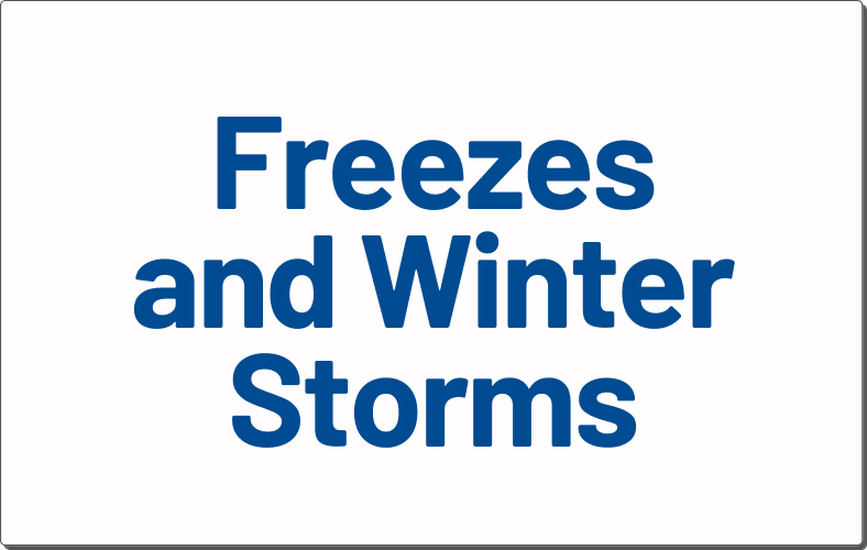 Visit Freezes and Winter Storms