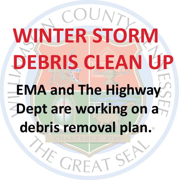Storm Debris Removal