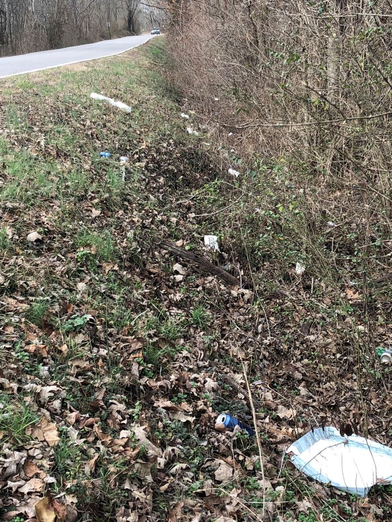 Steve Green Group 2- litter